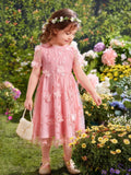 Buy SHEIN Toddler Girls Appliques Embroidery Mesh Overlay Butterfly Sleeve Dress in Pakistan
