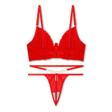 Buy Red Embroidered Non Padded Bra and Panty Set in Pakistan
