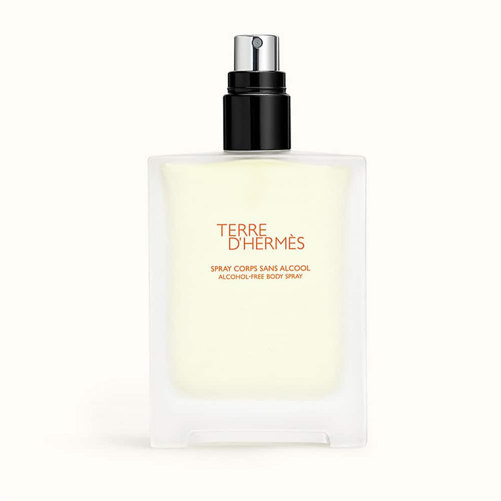 Buy Hermes Men's Terre D'Hermes Body Spray 100ML in Pakistan