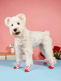 Buy SHEIN 4pcs Heart Pattern Pet Socks in Pakistan