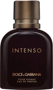 Buy D&G Intenso Men Edp 125ml in Pakistan