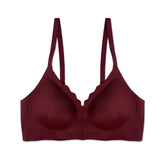Buy Padded Bra - Scallop Seamless in Pakistan