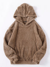 Buy SHEIN Drop Shoulder 3D Ear Teddy Hoodie in Pakistan