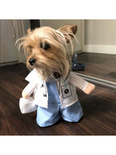 Buy SHEIN Pet Clothes Designed By Veterinarian For Role Playing Of Small Dogs And Cats in Pakistan