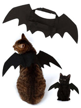 Buy SHEIN Pet Costume Bat Wings For Dogs And Cats, Black Color, Cool Halloween Bat Transformation Outfit in Pakistan