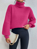 Buy SHEIN Privé Rib-knit Turtleneck Drop Shoulder Sweater in Pakistan