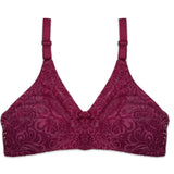 Buy Pack of 4 - Lace Net Bras in Pakistan