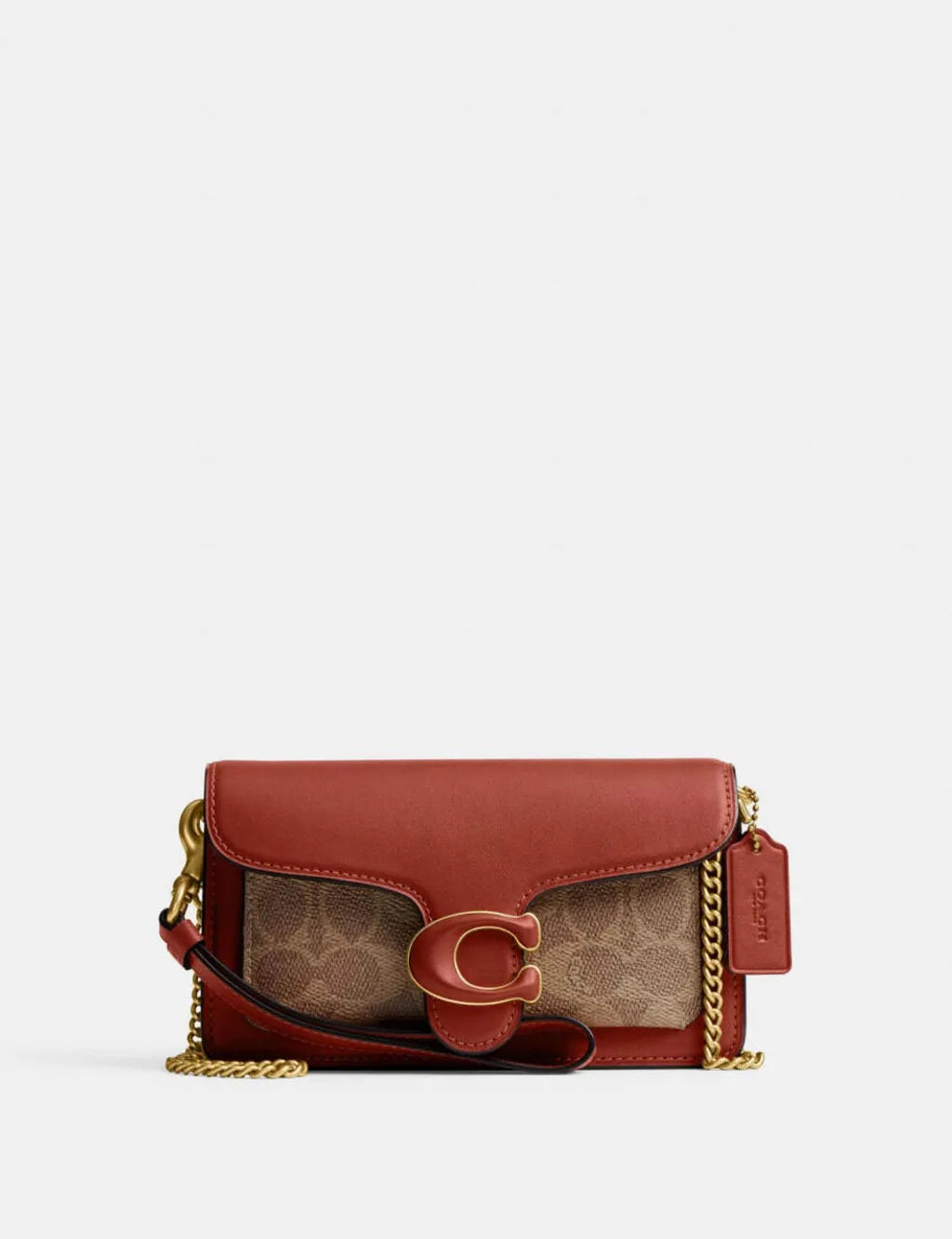 Buy Coach Chain Plain Leather Bridal Logo Bag in Pakistan