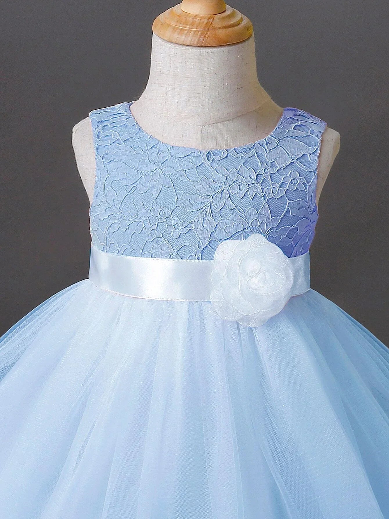 Buy SHEIN Baby Appliques Contrast Lace Mesh Overlay Party Dress in Pakistan