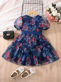 Buy SHEIN Toddler Girls Floral Print Puff Sleeve Ruffle Hem Belted Organza Dress in Pakistan