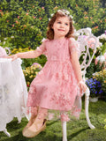 Buy SHEIN Toddler Girls Appliques Embroidery Mesh Overlay Butterfly Sleeve Dress in Pakistan