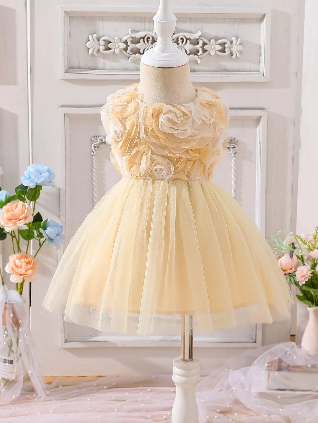 Buy SHEIN Baby Appliques Mesh Overlay Dress in Pakistan