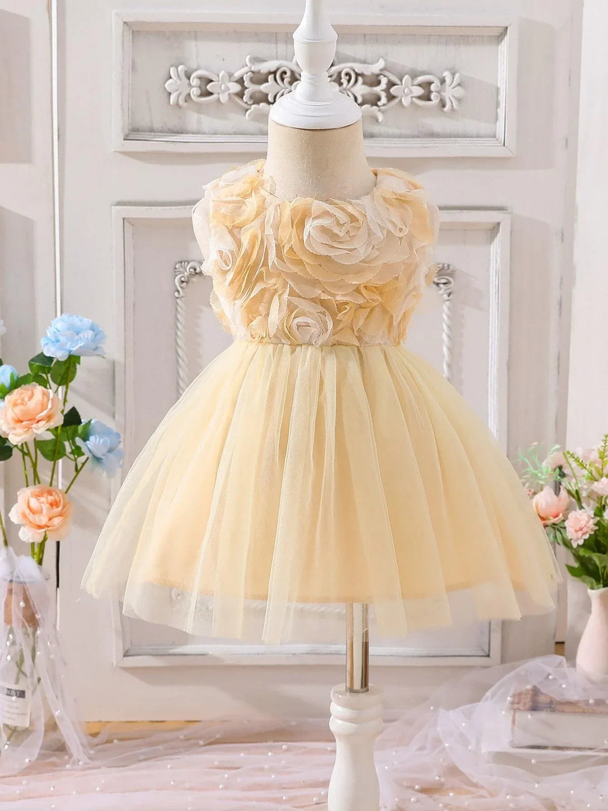 Buy SHEIN Baby Appliques Mesh Overlay Dress in Pakistan