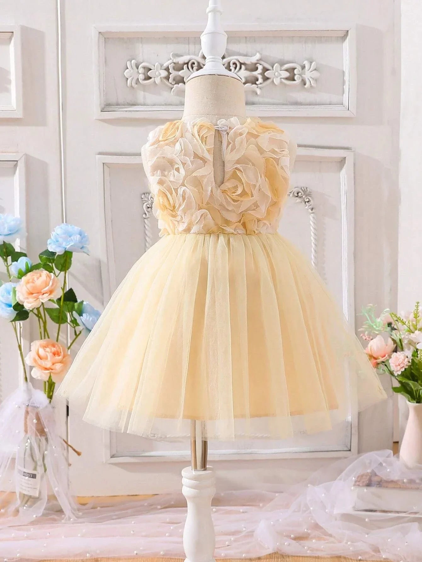 Buy SHEIN Baby Appliques Mesh Overlay Dress in Pakistan