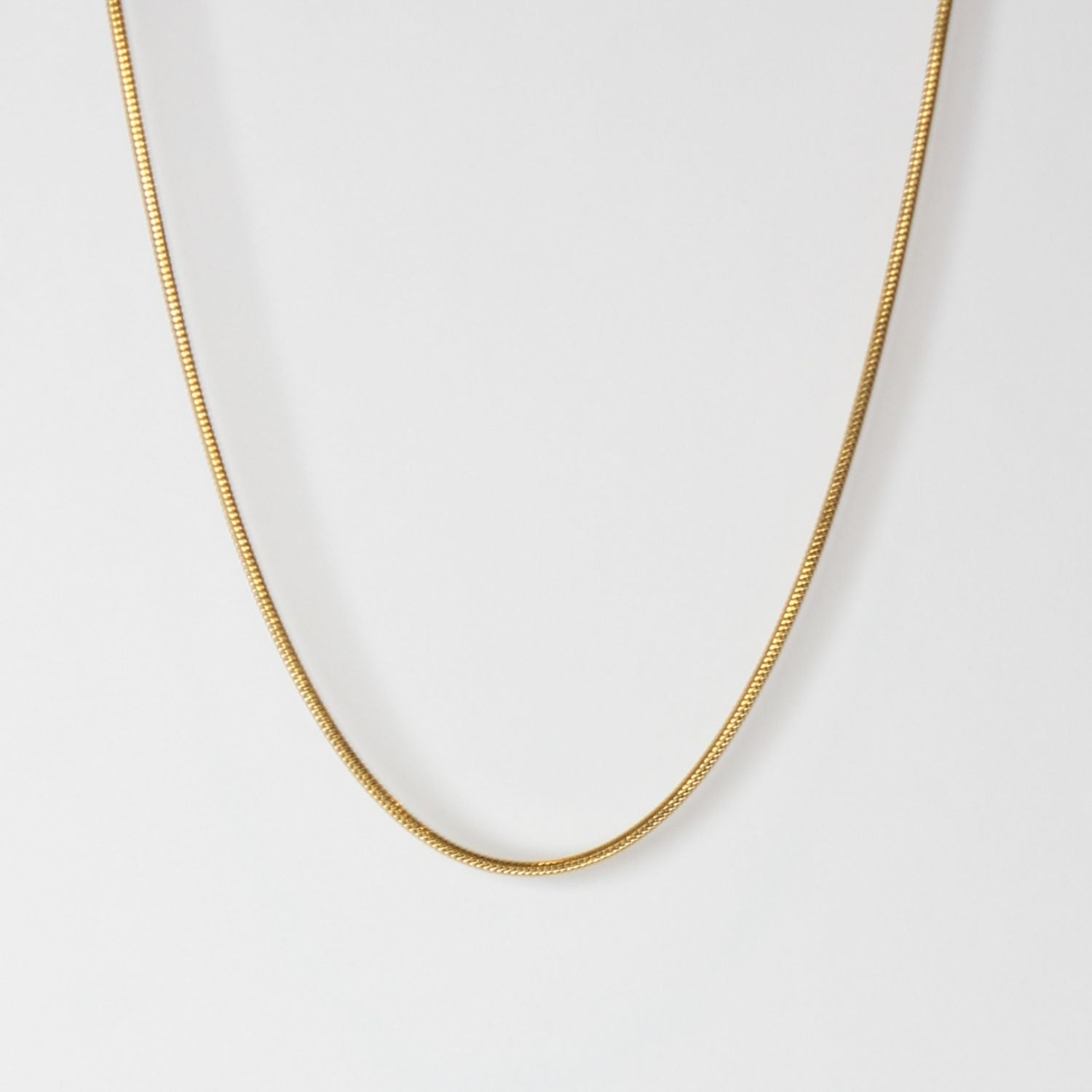 Buy Snake Chain 20" in Pakistan