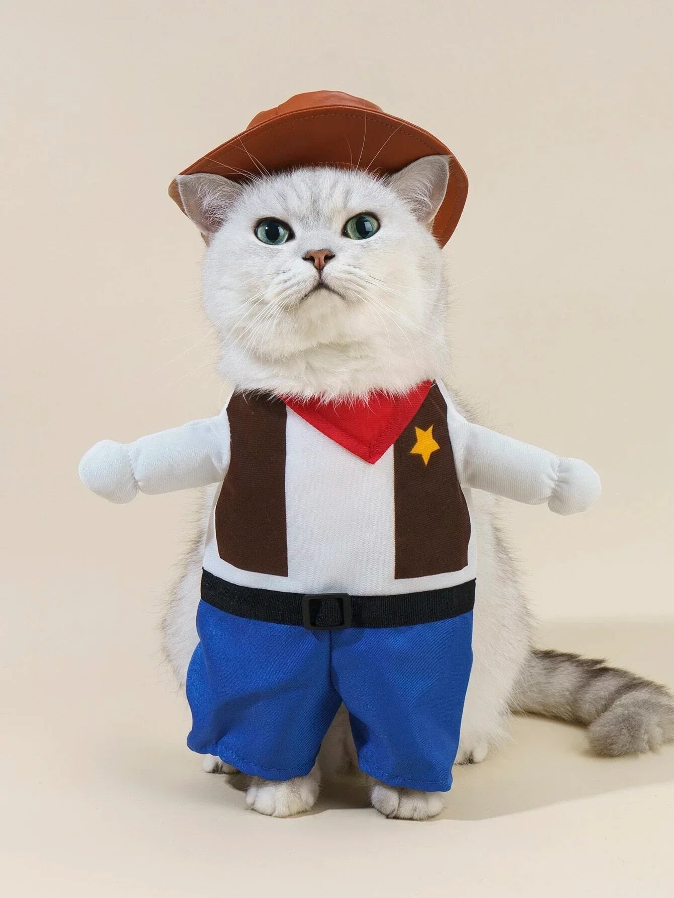 Buy SHEIN 1pc Cowboy Shaped Pet Costume in Pakistan