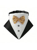 Buy SHEIN 1pc Fashionable Sparkly Collar With Bow Tie For Cat And Dog in Pakistan