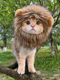 Buy SHEIN 1pc Furry Lion Mane Wig For Cats & Dogs With Ears Of Rabbit, Frog Or Bear, Funny Pet Costume Accessory in Pakistan