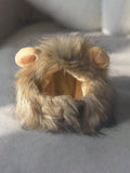 Buy SHEIN 1pc Furry Lion Mane Wig For Cats & Dogs With Ears Of Rabbit, Frog Or Bear, Funny Pet Costume Accessory in Pakistan