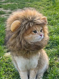 Buy SHEIN 1pc Furry Lion Mane Wig For Cats & Dogs With Ears Of Rabbit, Frog Or Bear, Funny Pet Costume Accessory in Pakistan
