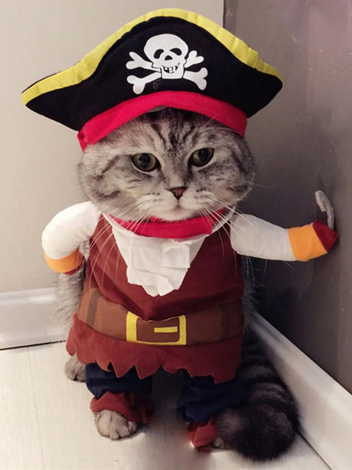 Buy SHEIN 1pc Halloween Pet Costume, Dog Pirate Cosplay Clothes in Pakistan