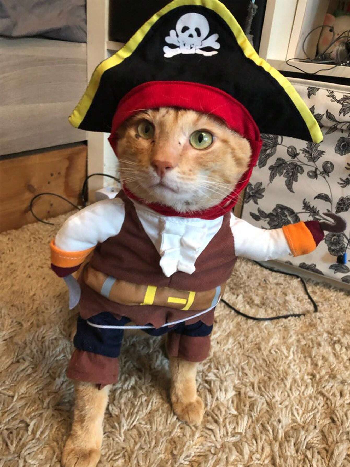 Buy SHEIN 1pc Halloween Pet Costume, Dog Pirate Cosplay Clothes in Pakistan