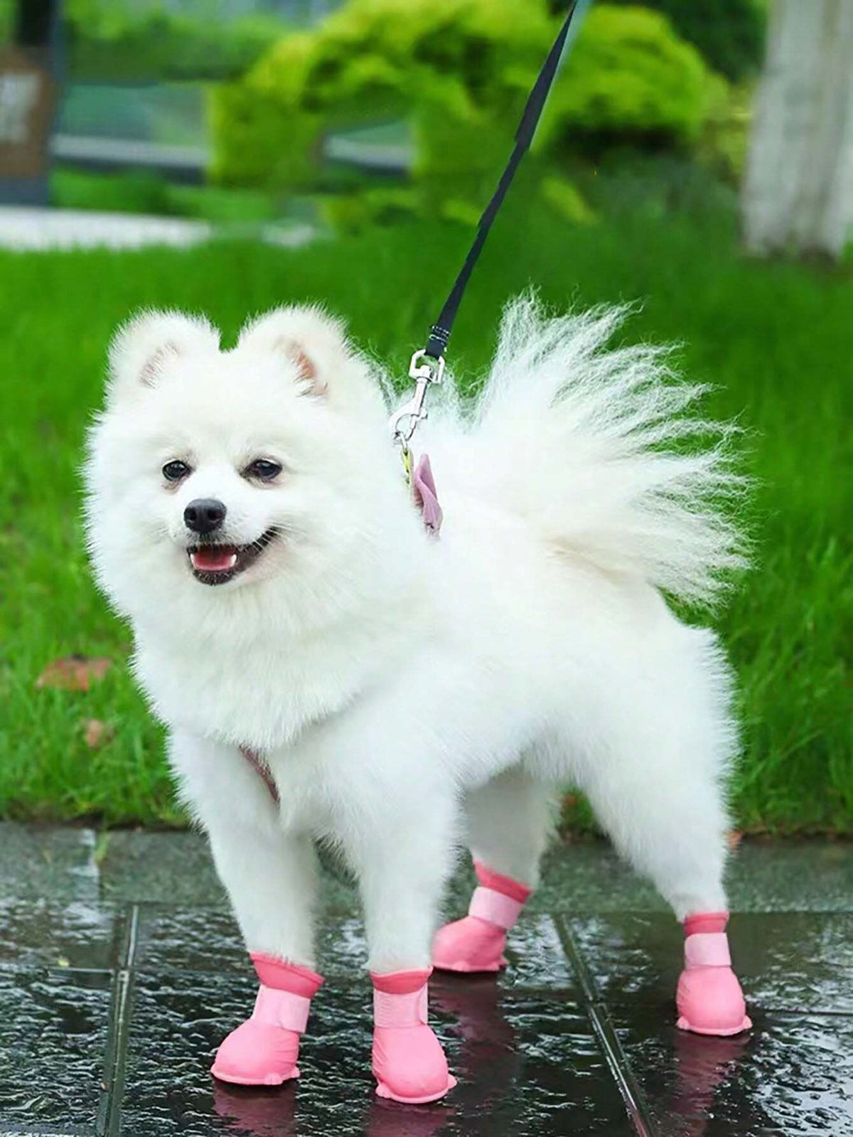 Buy SHEIN 1pc Pet Dog Rain Boots Spring Waterproof & Warm Shoes For Pet Paws, Slip-Resistant, Durable, Outdoors, Anti-Scratch For Nails And Cats in Pakistan