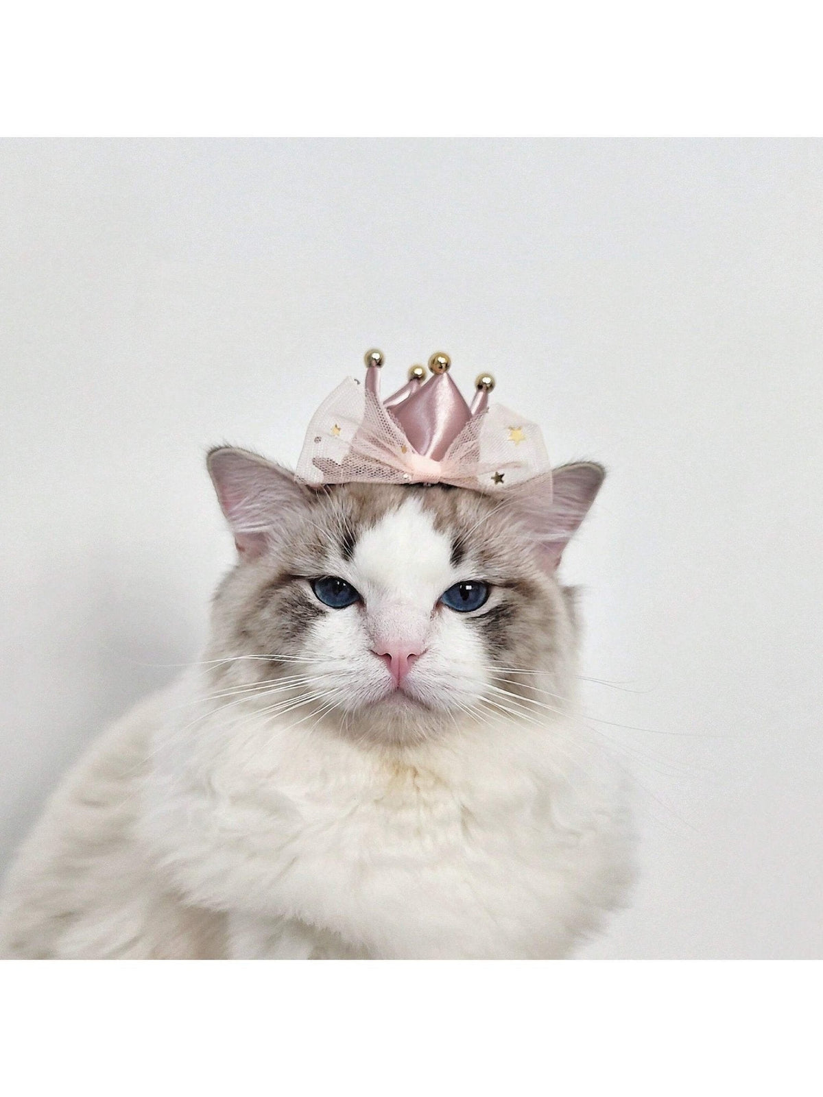 Buy SHEIN 1pc Pet Hair Clip With Bowknot & Crown Design, Suitable For Dogs And Cats in Pakistan