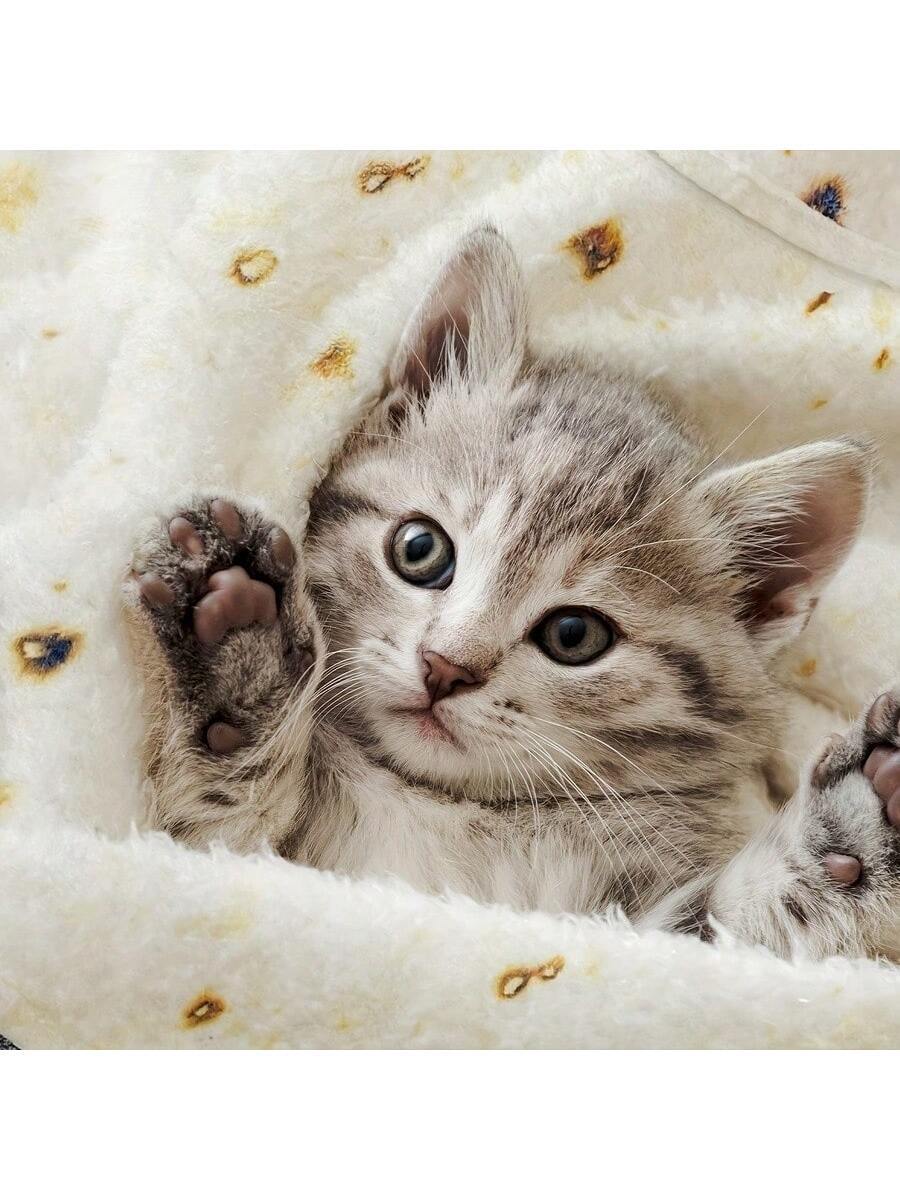 Buy SHEIN 285 GSM Soft Flannel Tortilla Baby Blanket - The Perfect Funny Gift For Baby Showers! Love Valentine in Pakistan