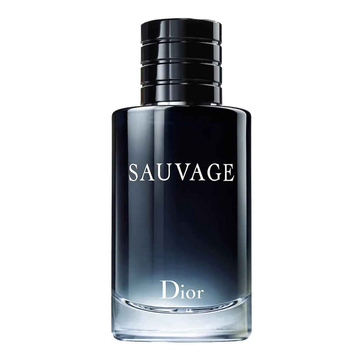 Buy Christian Dior Sauvage Edt Perfume For Men 100Ml in Pakistan