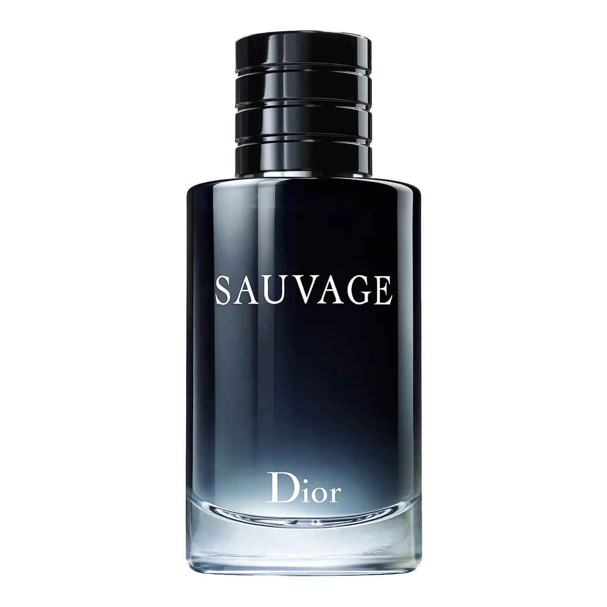 Buy Christian Dior Sauvage Edt Perfume For Men 200Ml in Pakistan