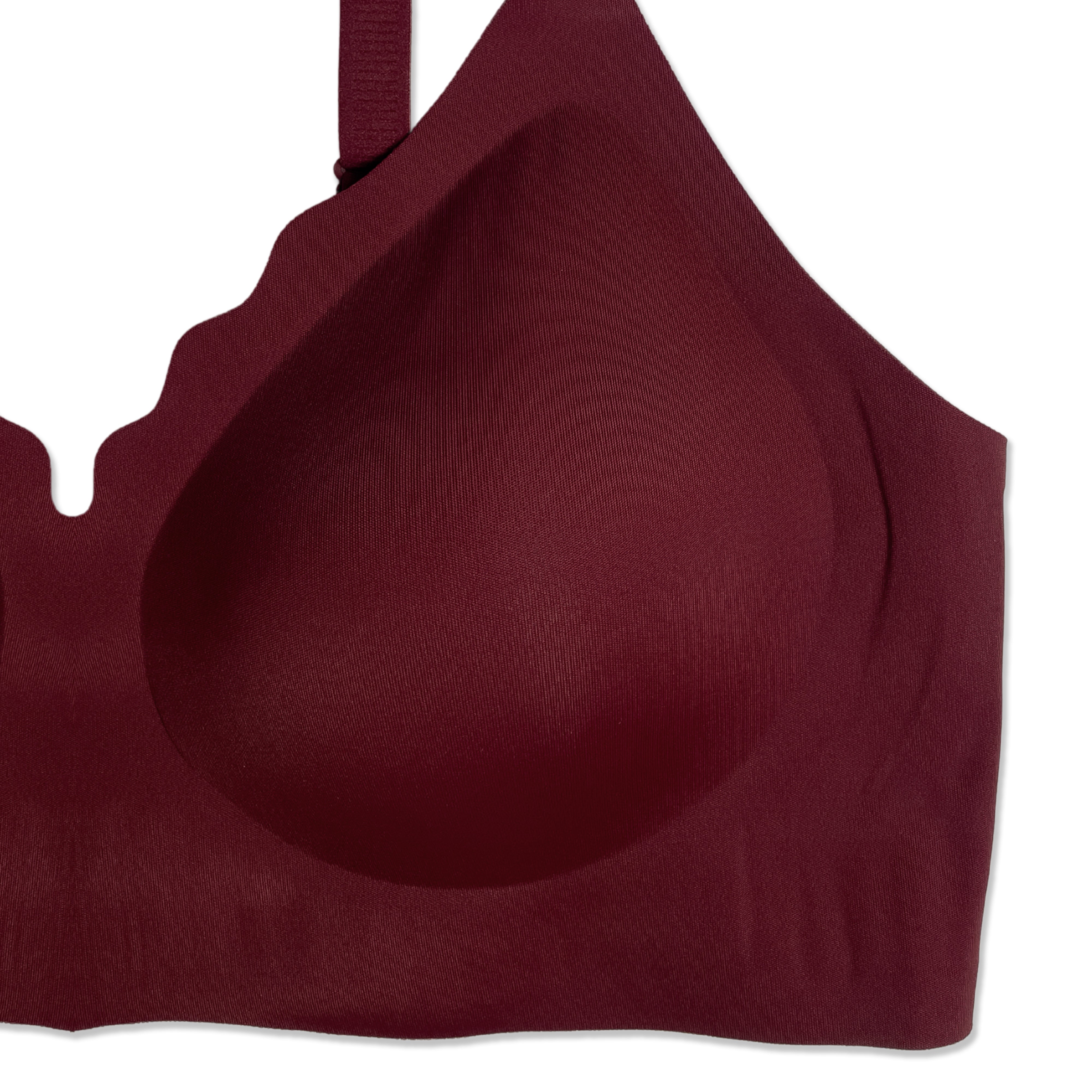 Buy Padded Bra - Scallop Seamless in Pakistan