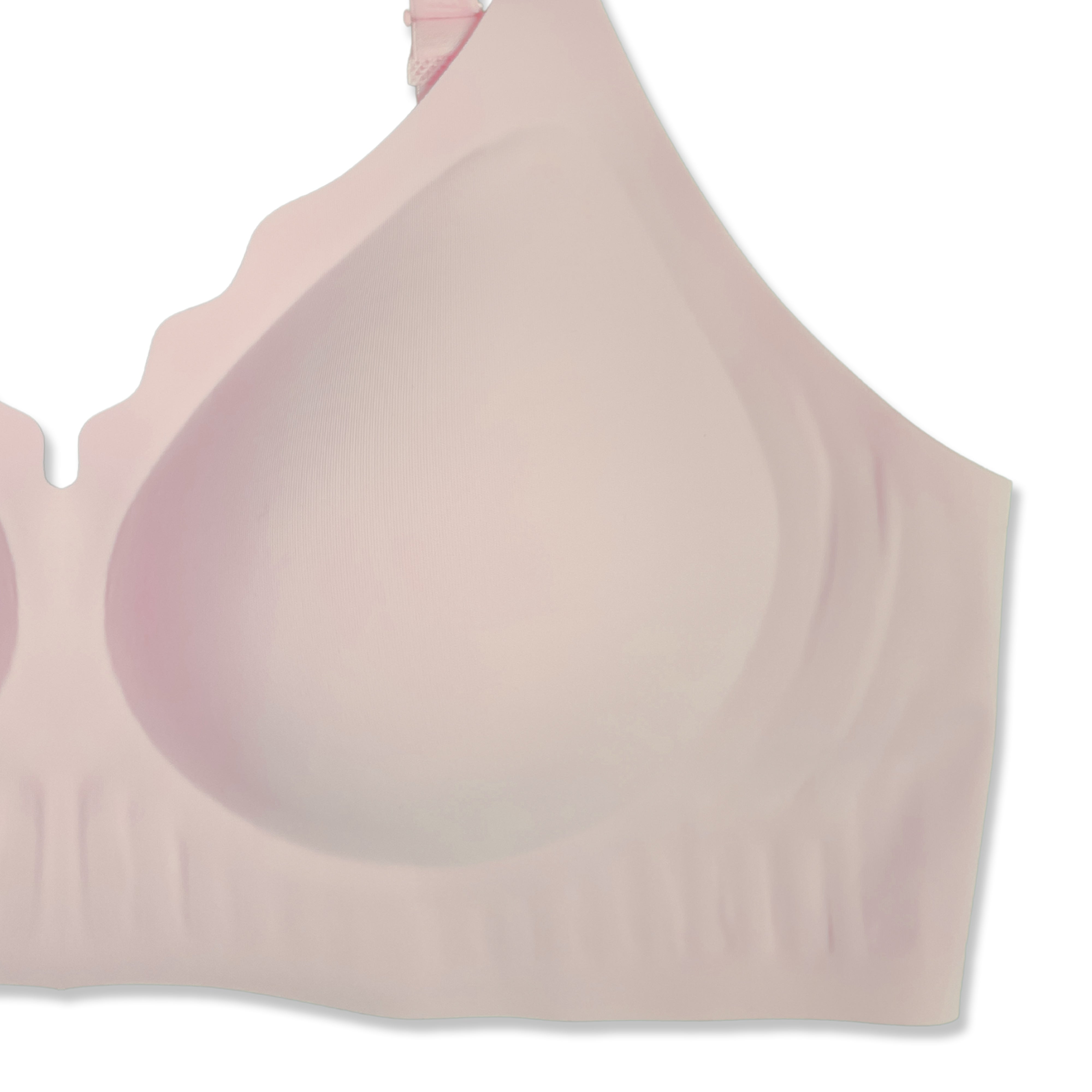 Buy Padded Bra - Scallop Seamless in Pakistan