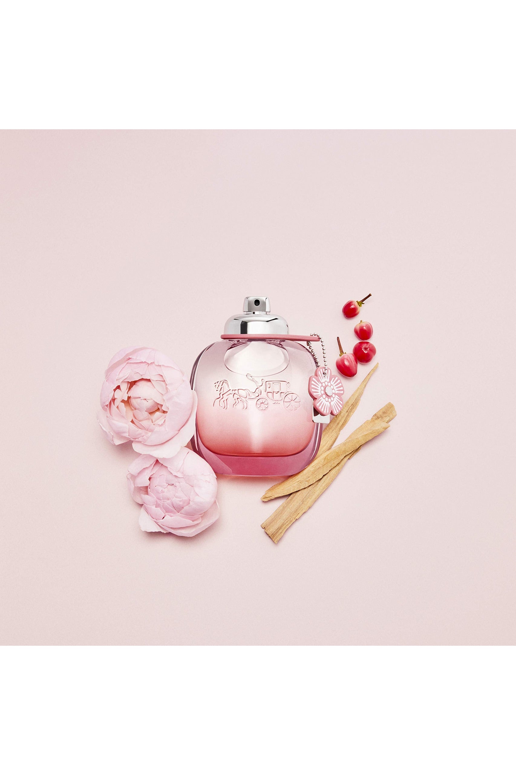 Buy Coach New York Floral Blush Women EDP - 90ml in Pakistan