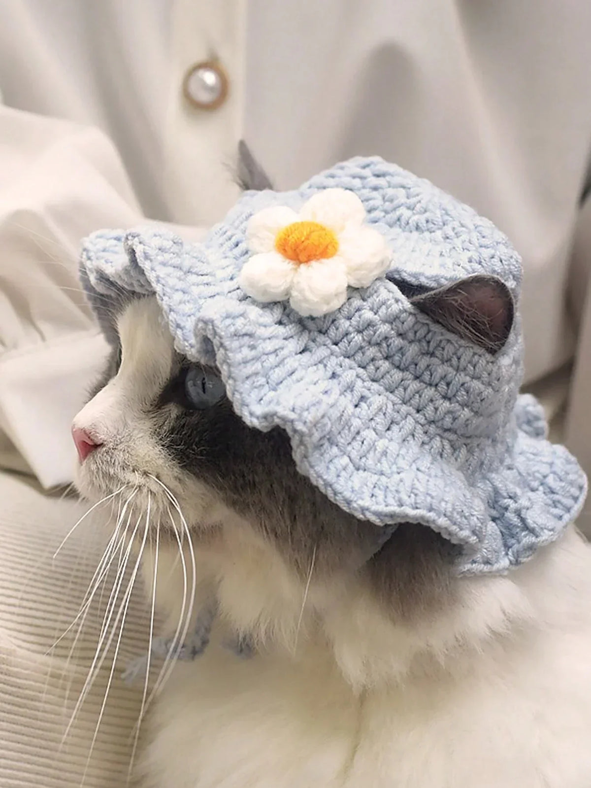 Buy SHEIN Crochet Pet Blue Sunflower Hat in Pakistan