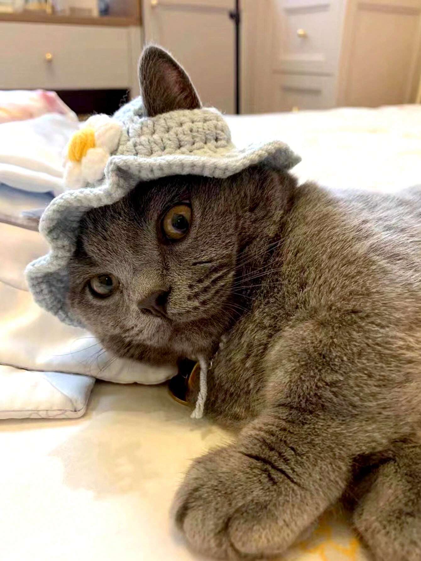 Buy SHEIN Crochet Pet Blue Sunflower Hat in Pakistan