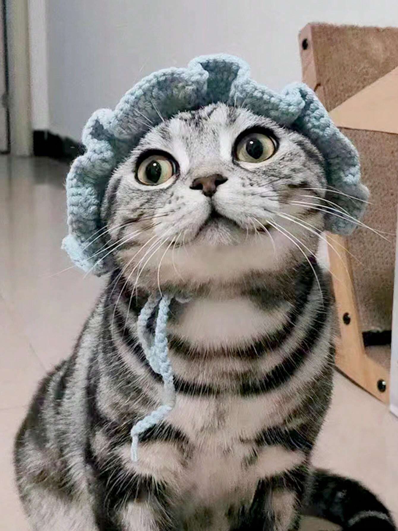 Buy SHEIN Crochet Pet Blue Sunflower Hat in Pakistan