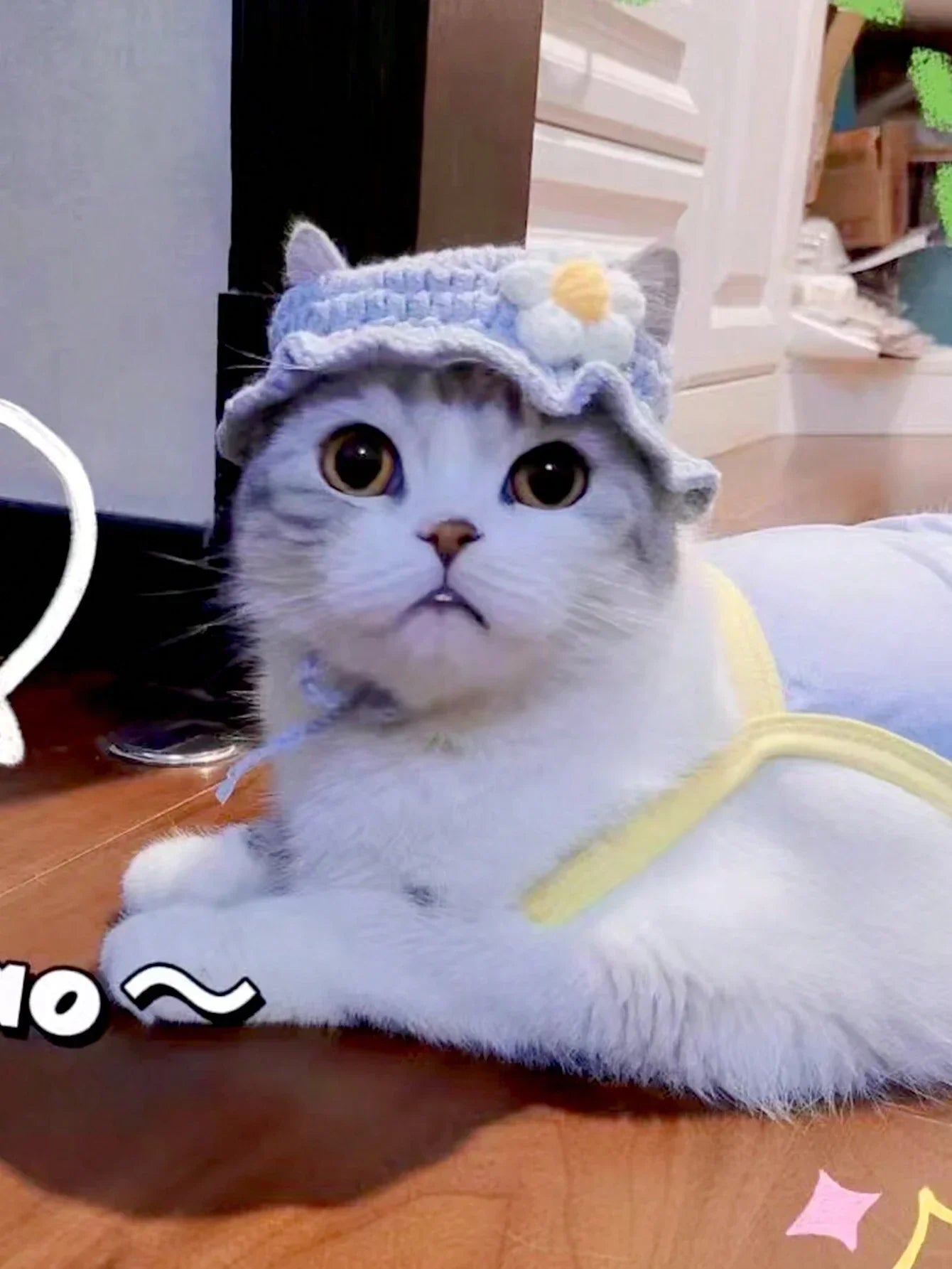 Buy SHEIN Crochet Pet Blue Sunflower Hat in Pakistan