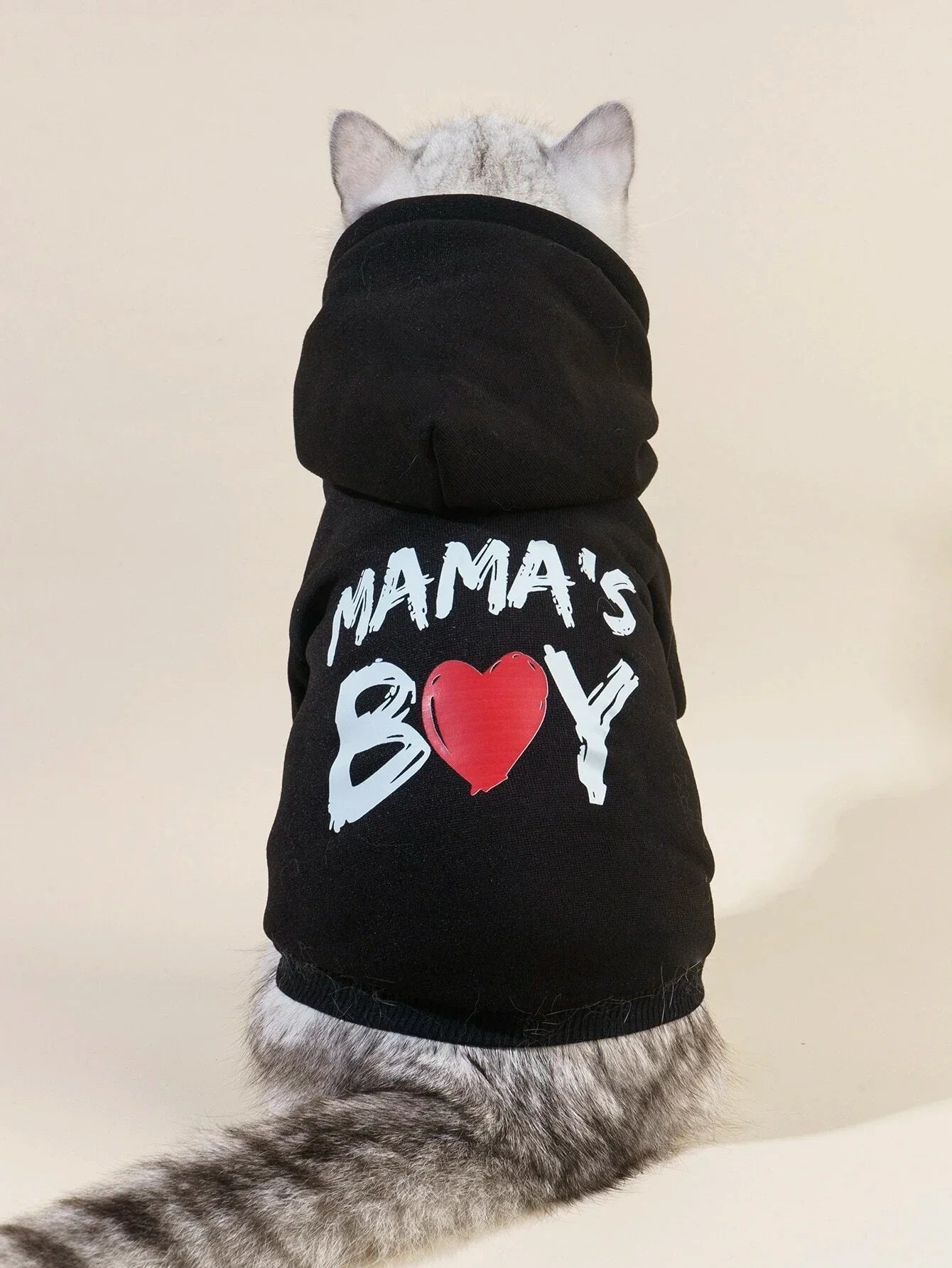 Buy SHEIN PETSIN 1pc Letter Graphic Pet Hoodie in Pakistan