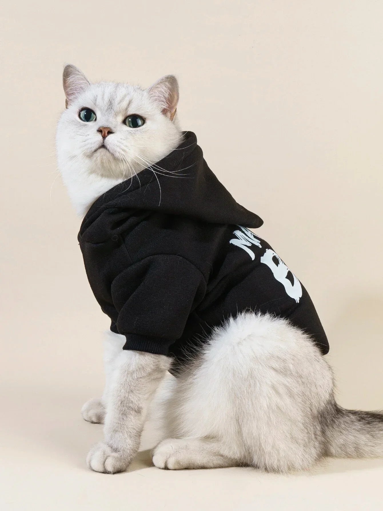 Buy SHEIN PETSIN 1pc Letter Graphic Pet Hoodie in Pakistan