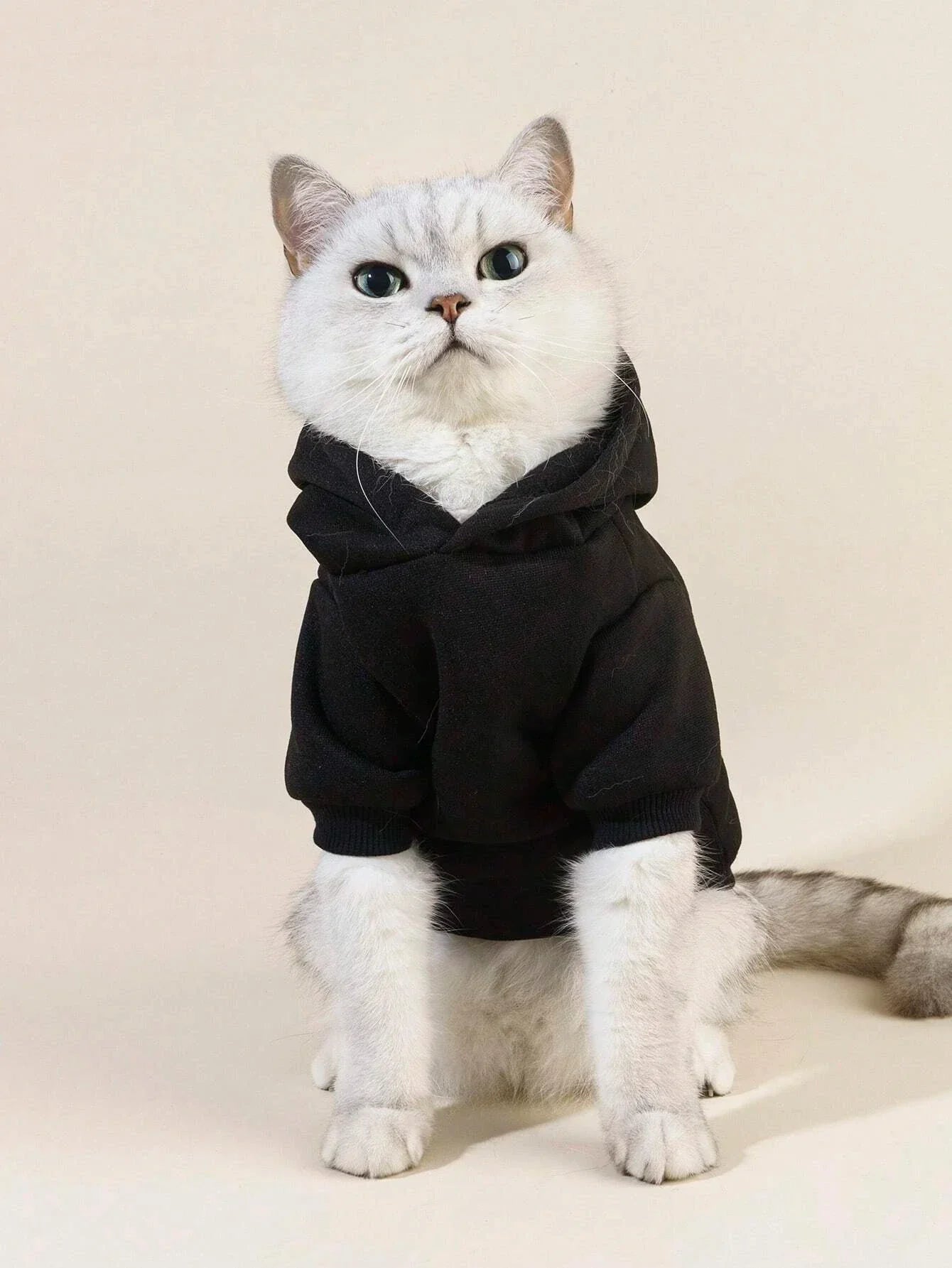 Buy SHEIN PETSIN 1pc Letter Graphic Pet Hoodie in Pakistan