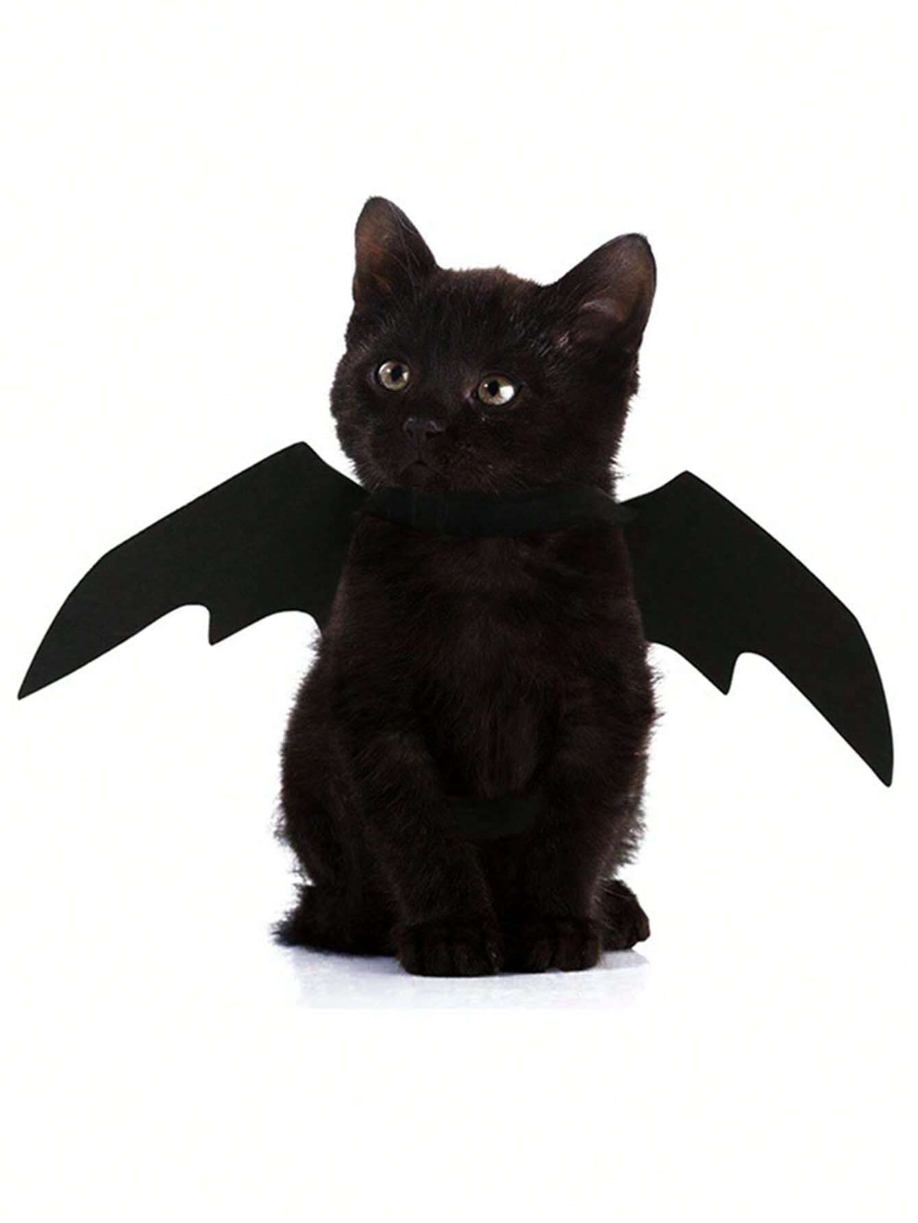 Buy SHEIN Pet Costume Bat Wings For Dogs And Cats, Black Color, Cool Halloween Bat Transformation Outfit in Pakistan