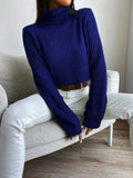 Buy SHEIN Frenchy Solid Turtleneck Bishop Sleeve Crop Sweater in Pakistan