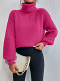 Buy SHEIN Privé Rib-knit Turtleneck Drop Shoulder Sweater in Pakistan