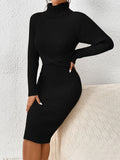 Buy SHEIN Privé Turtleneck Raglan Sleeve Twist Front Sweater Dress in Pakistan