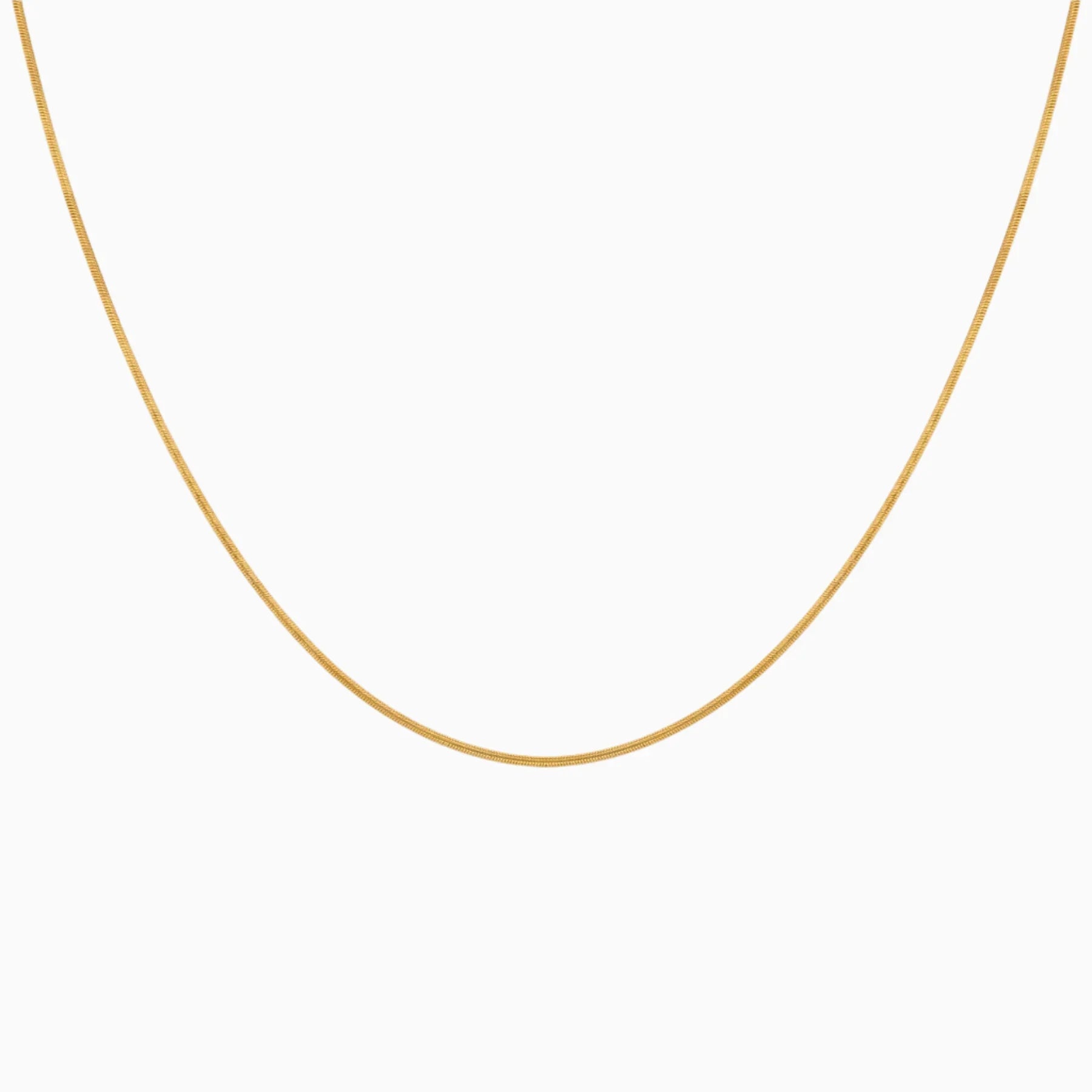 Buy Snake Chain 20" in Pakistan