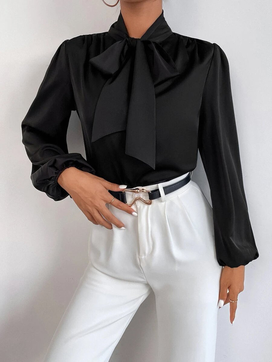 Buy Shein Satin Tie Neck Bishop Sleeve Blouse in Pakistan