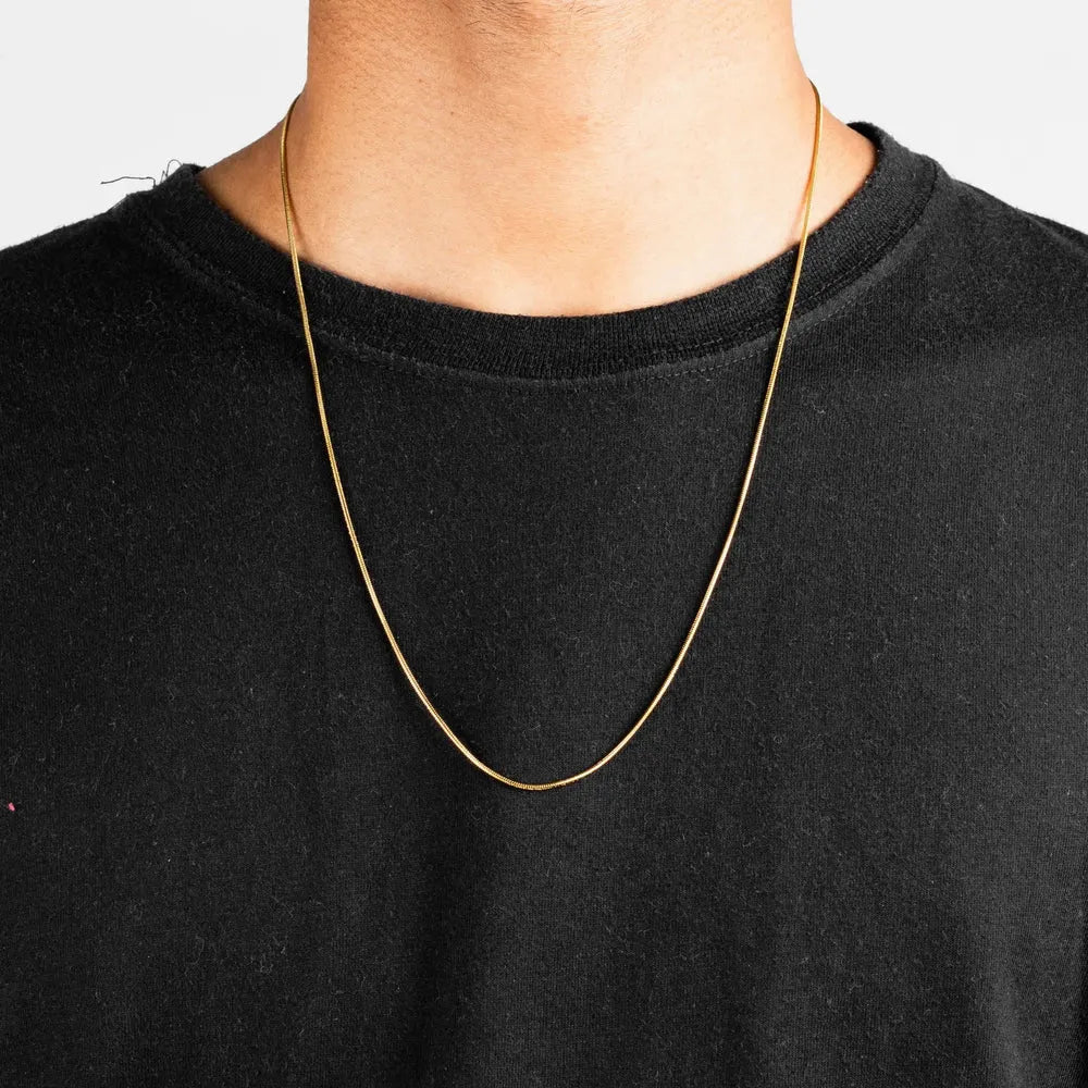 Buy Snake Chain 20" in Pakistan