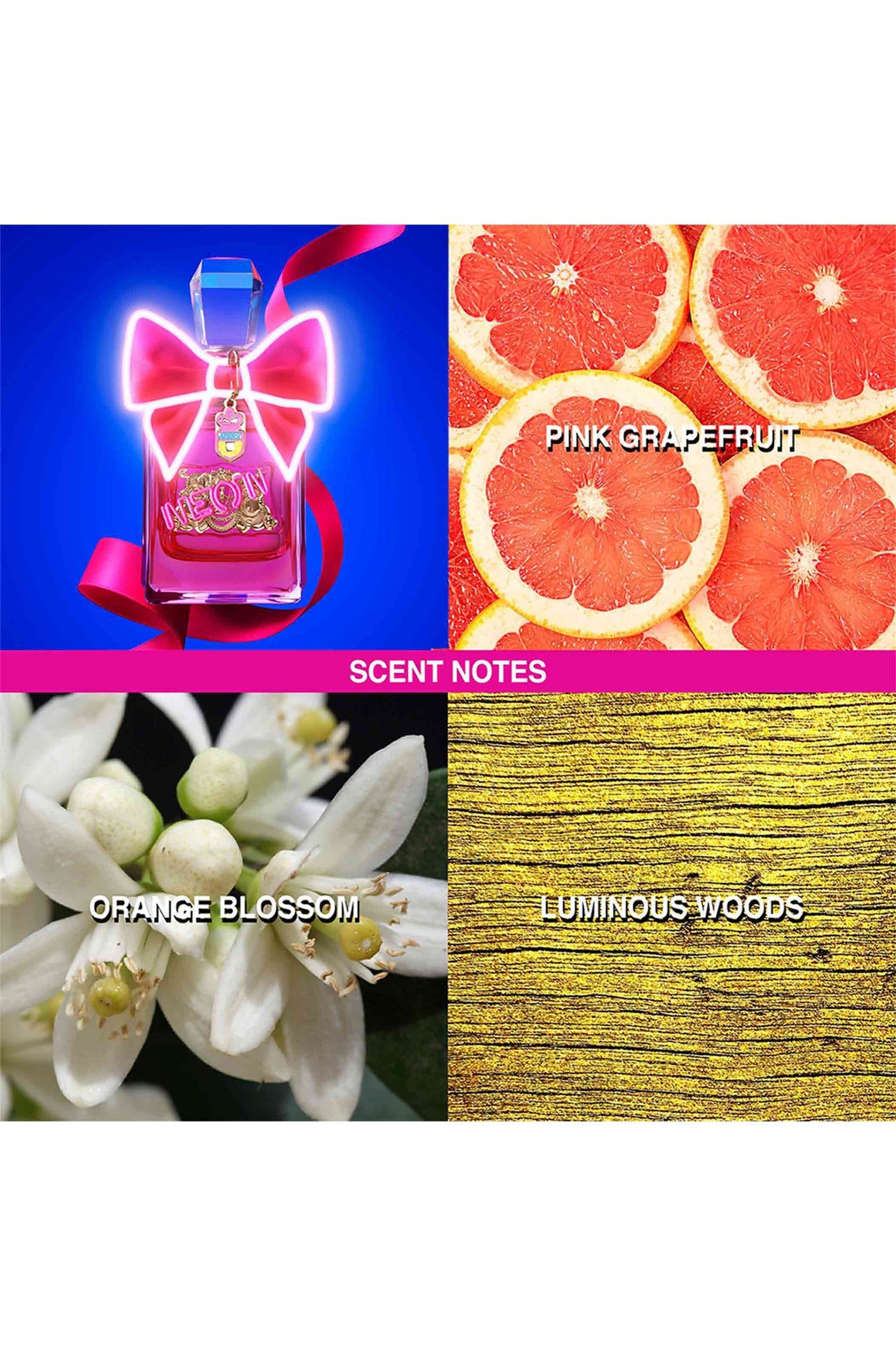 Buy Juicy Couture Viva La Juicy Couture Neon Women EDP - 100ml in Pakistan